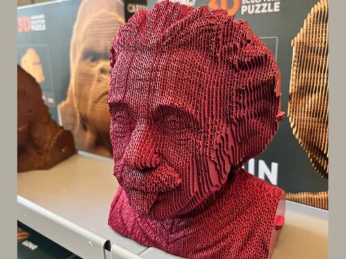Einstein head - playful 3d puzzle - red