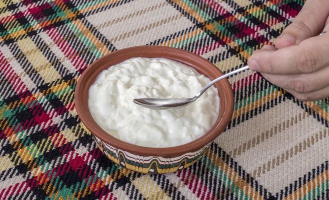 bowl of traditional yoghurt